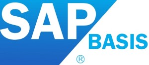SAP-BASIS